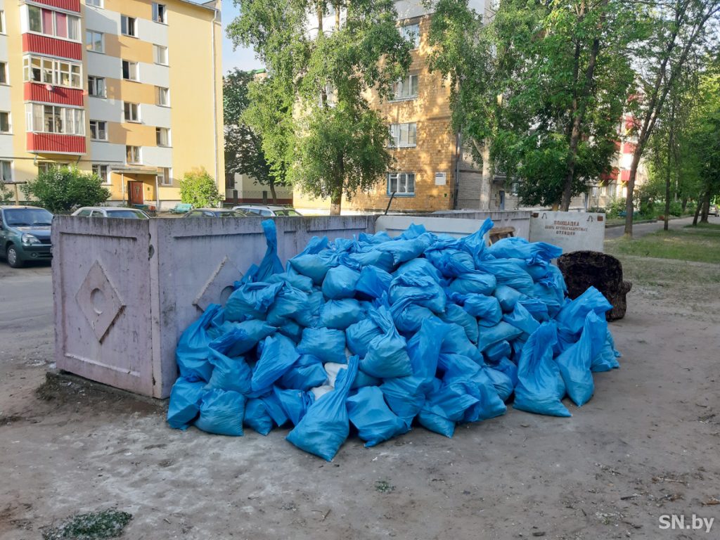 Плата за вывоз крупногабаритного мусора не входит в планы некоторых  светлогорцев? | Новости Светлогорска и Светлогорского района