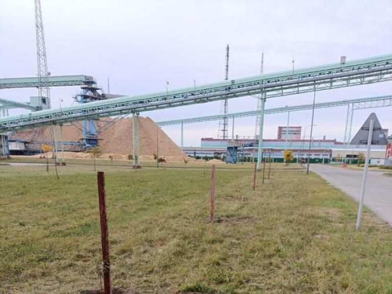 изображение_viber_2025-10-09_09-34-05.jpg изображение_viber_2025-10-09_09-34-05.jpg